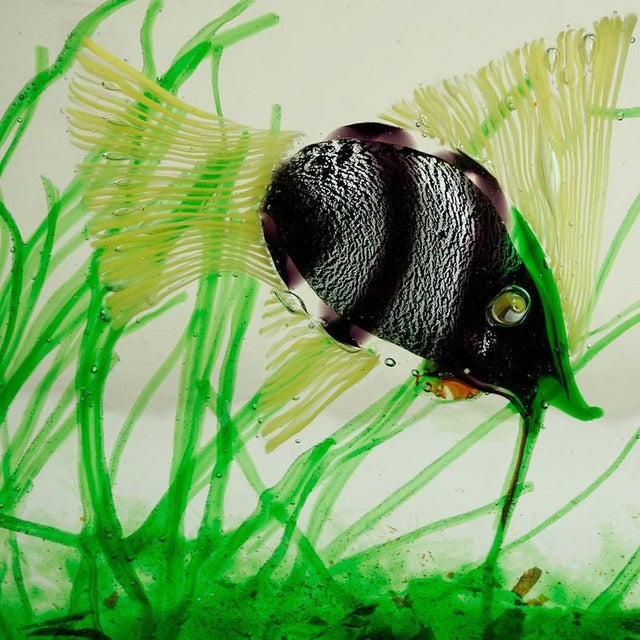 This amazing Murano glass fish aquarium was designed by Riccardo Licata for Gino Cenedese in Italy, 1960s. It features...