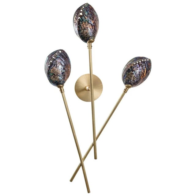 Not Yet Made - Made To Order Coquillage Wall Light III by Ludovic Clément d’Armont For Sale - Image 5 of 5