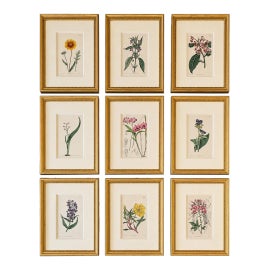 Example of Original Prints