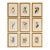 Set of 9 Framed Hand-Colored Botanical Engravings From William Curtis's Botanical Magazine, 19th Century For Sale