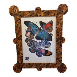 "Papillions" by Eugene Allain Seguy in Faux Tortoiseshell Frames- 16 Available Priced Individually For Sale