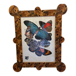 "Papillions" by Eugene Allain Seguy in Faux Tortoiseshell Frames- 16 Available Priced Individually