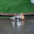 Metal 1.3Ct Imperial Topaz Ring With Natural Diamond Accents in Solid 14k Gold, 9x5mm, Size 6.75 For Sale - Image 7 of 9
