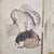 Edo Period Kano School Byôbu Screen with Wild Horses, Japan, 19th Century For Sale - Image 14 of 18