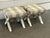 Modern Ballard Designs X Benches, Pair For Sale - Image 3 of 12