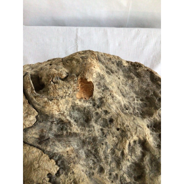 1960s Burl Wood Carving of A Woman's Face For Sale - Image 9 of 9