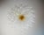 Large Murano Glass Chandelier, 100 Clear Felci Glasses For Sale - Image 9 of 10