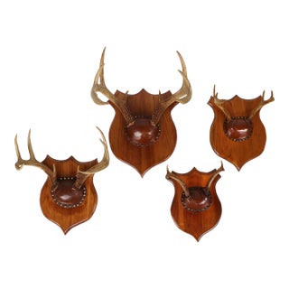 Set of 4 Vintage Mounted Deer Antlers With Leather and Brass Tacks For Sale