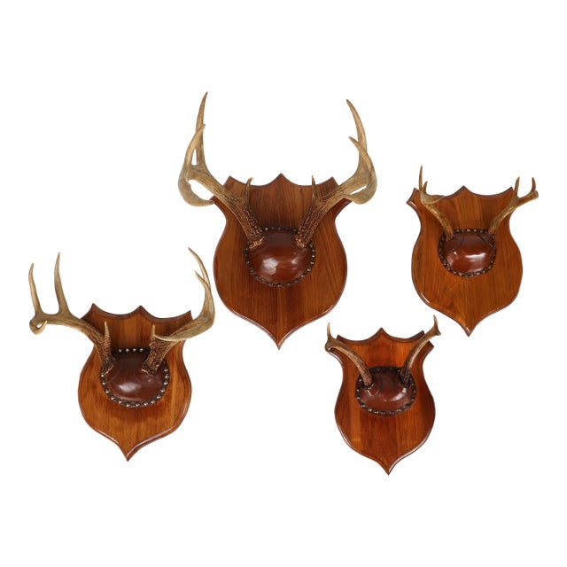 Set of 4 Vintage Mounted Deer Antlers With Leather and Brass Tacks For Sale