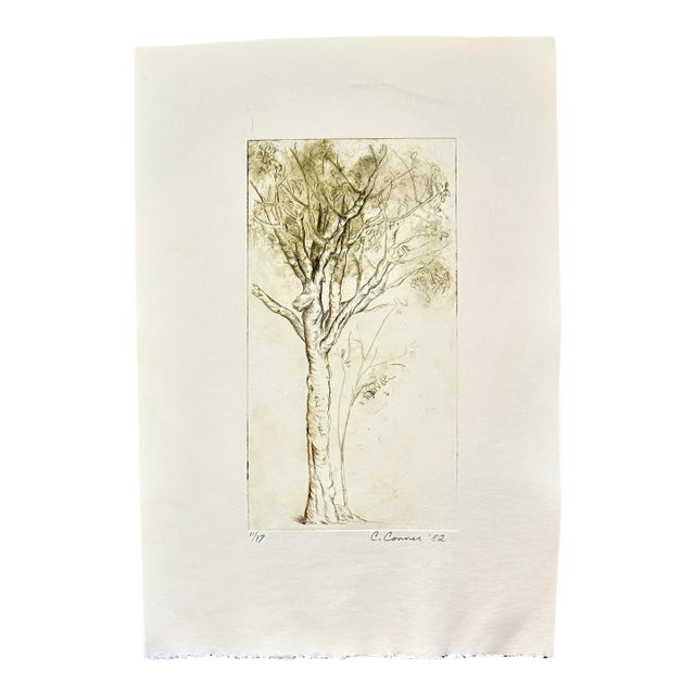 1982 Hand Printed Etching “Sketch of a Tree” For Sale