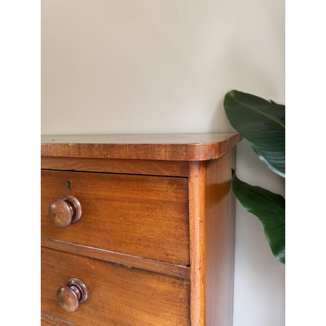 Wood Large Antique Mahogany and Oak Chest of Drawers For Sale - Image 7 of 13