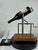 A striking and functional wine service accessory, this vintage mechanical wine presentation stand elevates the ritual of...