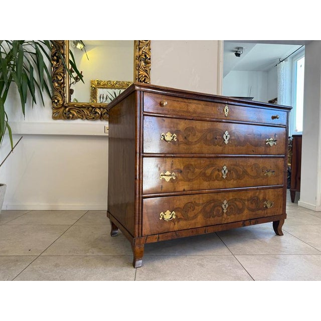 Wood Biedermeier Chest of Drawers in Walnut For Sale - Image 7 of 17