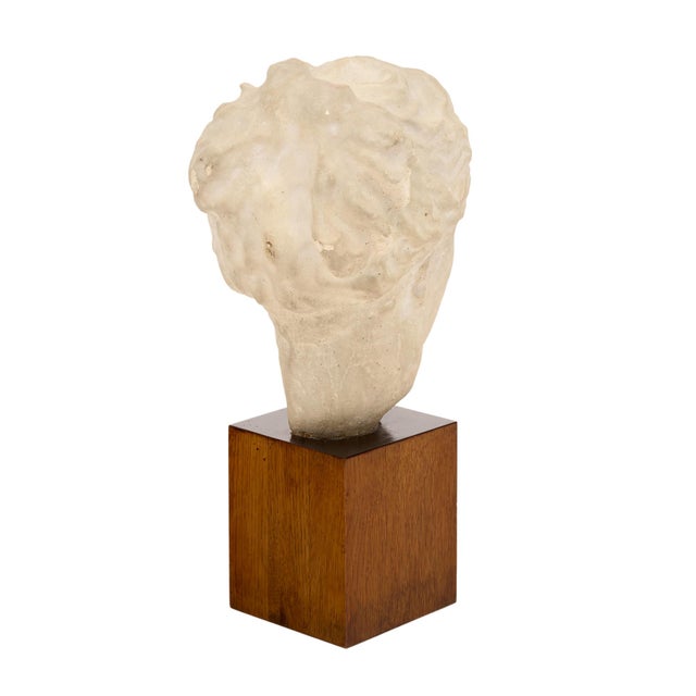 Wood Art Deco Period, French Bust of Hygieia, Wood and Plaster, Circa 1940 For Sale - Image 7 of 9