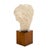 Wood Art Deco Period, French Bust of Hygieia, Wood and Plaster, Circa 1940 For Sale - Image 7 of 9
