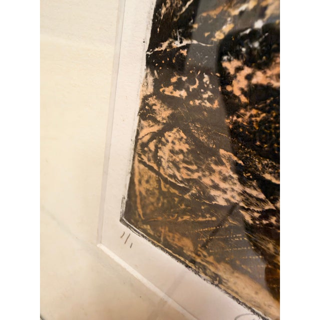 Rita Miller "Colorado Black Canyon" Framed Monoprint, Signed & Dated 1995 For Sale - Image 10 of 12