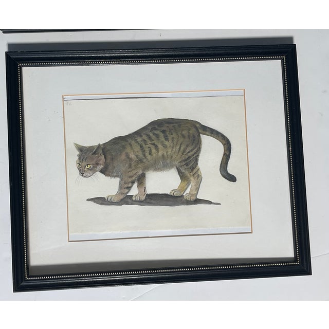 1970s Set of 4 Watercolor Cat Portraits Framed For Sale - Image 9 of 9