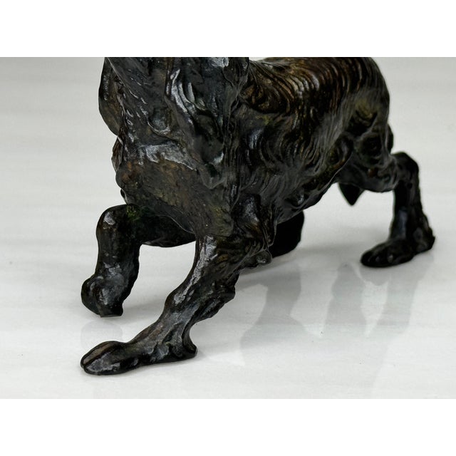 Antique Miniature Austrian Bronze Long Haired Dachshund Sculpture Circa 1900 For Sale - Image 15 of 18