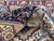 Antique Bidjar Rug, 1890s For Sale - Image 17 of 18