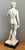 Vintage Italian Marble David Sculpture For Sale - Image 10 of 10
