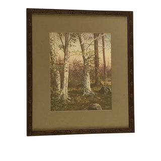 Late 19th Century Hand Colored Woodland Photograph, Framed For Sale
