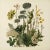 This fine art print reproduces a beautifully detailed 19th-century botanical illustration depicting an elegant arrangement...