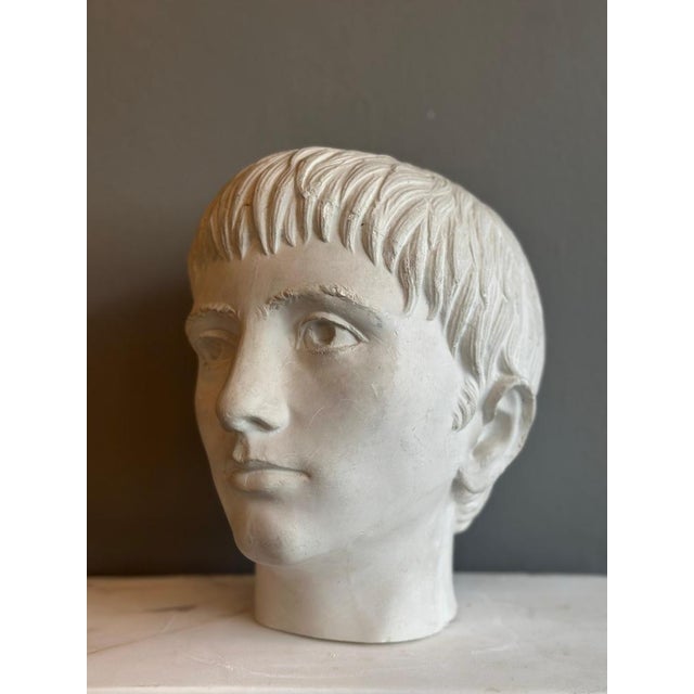Young and Older Julius Caesar Plaster Heads, Set of 2 For Sale - Image 5 of 15