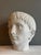 Young and Older Julius Caesar Plaster Heads, Set of 2 For Sale - Image 5 of 15