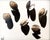 Clam Shells and Their Shadows by Emma Hirst | Oil on Panel Still life of clam shells with shadows For Sale