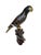 Chinese Cloisonné Parrot on Carved Hardwood Tree Trunk Base Chinese, Circa 1960 For Sale - Image 11 of 13