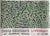 Homo Decorans Poster attributed to Keith Haring, Denmark, 2018 For Sale - Image 10 of 10