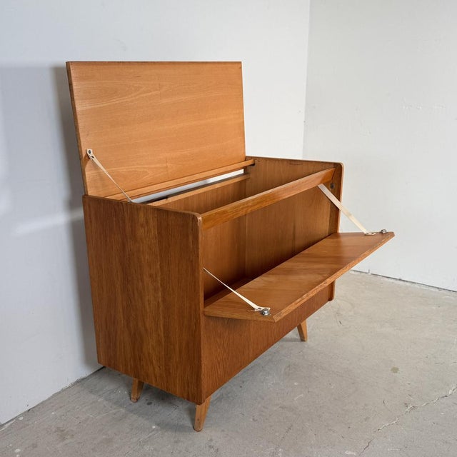 1960s Vintage U-459 Blanket or Toy Chest by Jiří Jiroutek for Interier Praha, 1960s For Sale - Image 5 of 16