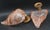 Set of 2 Wall Light Pink Colour Murano Glass Leave by Barovier E Toso, 1950s For Sale - Image 12 of 14
