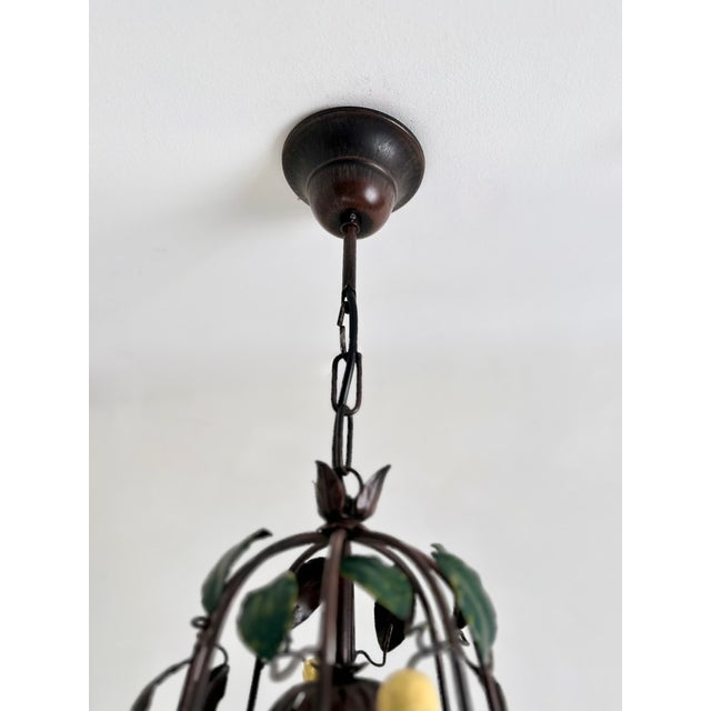 Black French Citrus Fruit Tole Cage Chandelier by J.P. Ryckaert, 1990s For Sale - Image 8 of 18