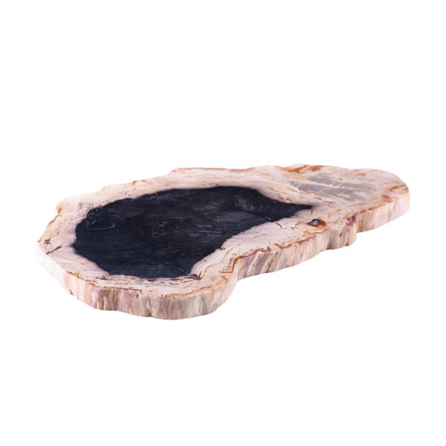 Contemporary Hand Cut & Polished Petrified Wood Board 2 For Sale - Image 3 of 4