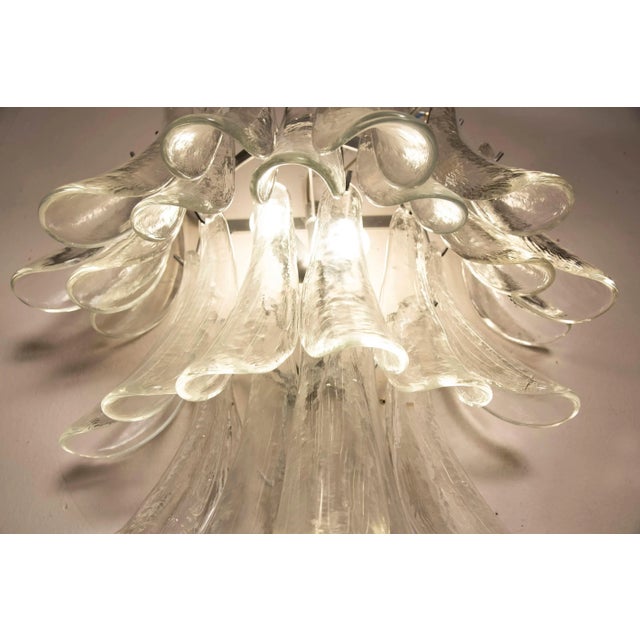 Wall Light in Transparent Glass Petals from Venini, 1970s For Sale - Image 10 of 12
