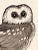 1970s "Saw-Whet Owl" Etching by Christine McGinnis, Printed by David Lynch Ca. 1970 For Sale - Image 5 of 6