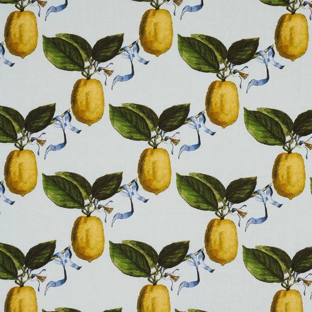 2020s Schumacher x Johnson Hartig Le Citron Fabric in Sky For Sale - Image 5 of 5