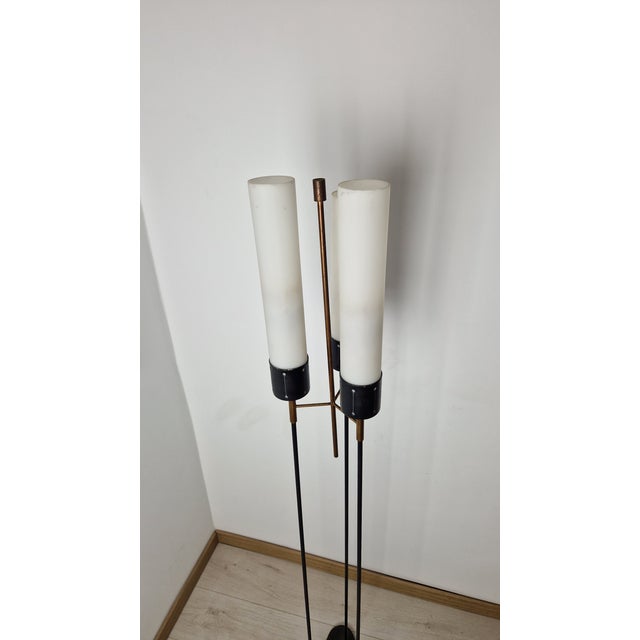 Mid-Century Modern Vintage Floor Lamp with Marble Base and Brass Stem, 1950s For Sale - Image 3 of 10