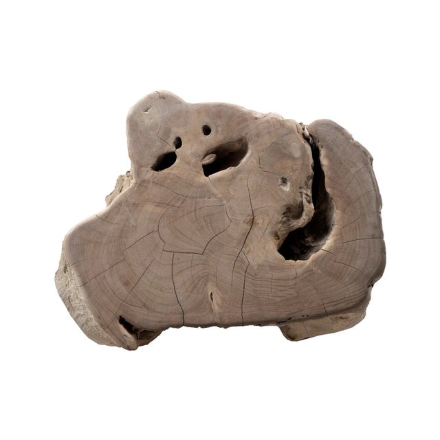 Contemporary Late 20th Century Organic Root Wood Form Outdoor Teak Table For Sale - Image 3 of 4