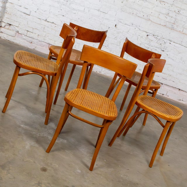 Mid to Late 20th Century Bauhaus Beech Bentwood Dining Chairs W/Cane Seats by Thonet Set of 5 For Sale - Image 10 of 18
