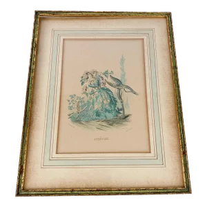Antique Print Lithograph Les Fleurs Animee Aubepine Framed Fantasy