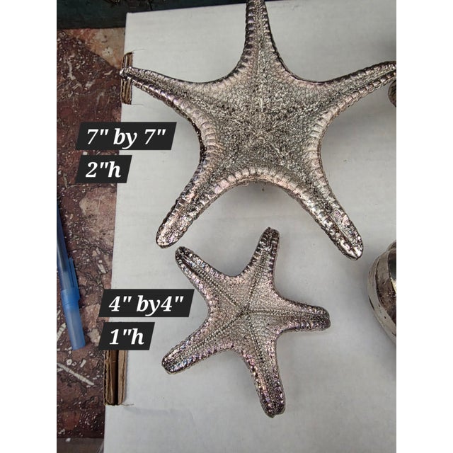 Collection of Silverplated Sea Shells For Sale - Image 4 of 8