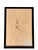 1965 French Herbarium Botanical Specimens – Set of 9 Custom Framed Pressed Botanicals For Sale - Image 9 of 18