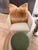 Pair of Oversized Pottery Barn Caramel Faux Fur Pillows With Velvet Backs 27x27 For Sale In Charleston - Image 6 of 9