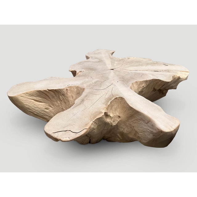 Andrianna Shamaris Amorphous Bleached Teak Wood Coffee Table For Sale - Image 9 of 18