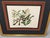 Mark Catesby, the Small Rattle-Snake, Plate 42 - 18th C 'Vipera Caudisona Minor' For Sale - Image 9 of 9