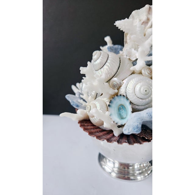 Handmade Coastal Seashell Sculpture – Seashell & Blue Ridge Coral Arrangement For Sale - Image 12 of 15