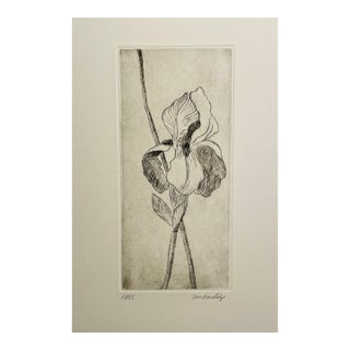 1997 David Baird Iris Etching Trial Proof For Sale