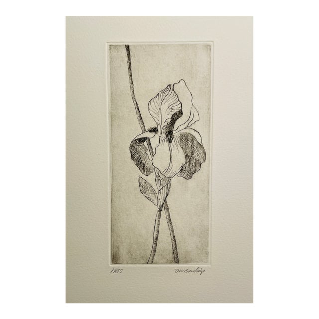 1997 David Baird Iris Etching Trial Proof For Sale